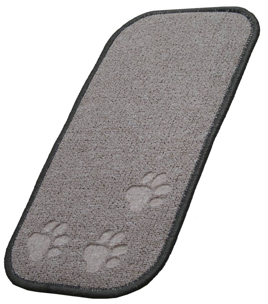 «Сибирская кошка» тырмагыч килеми, чоң
